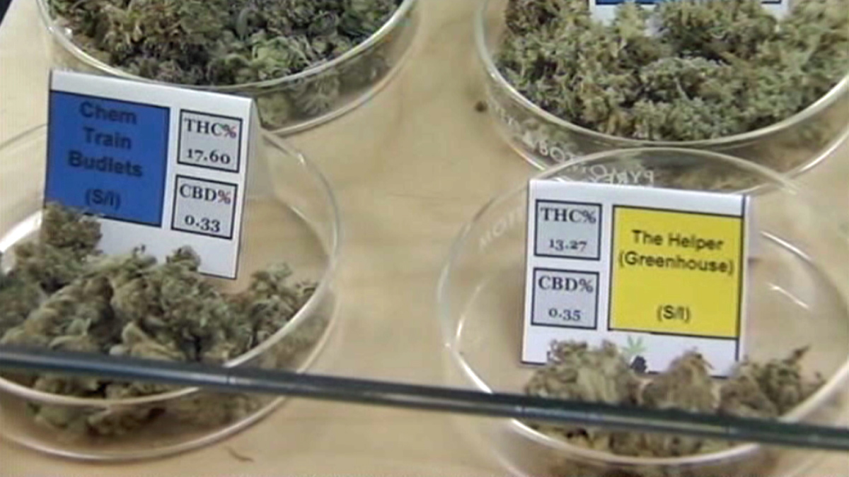 State Looking for Medical Marijuana Research Applications