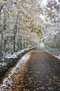October Snow