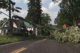 Trees Down, Power Outages After Intense Summer Storms