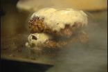 Feast: Goldburgers