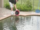 Fishy Situation