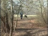 East Rock Attack