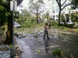 Flashback: Bridgeport Tornado