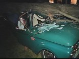 Weather Damage