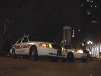 Drug Sweep on New Haven Green