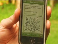 Name That Tree – There’s an App for That