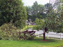 Strong Storms Cause Damage Across State
