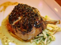 11/3: Beer Dinners, Reggae and Dissecting Diseases