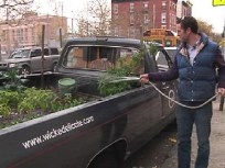Green Week: Brooklyn Truck Farmers Hit the Road