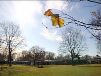 Students Report Attempted Abduction