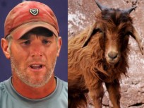 Brett Favre's Comeback Endangering Innocent Goats