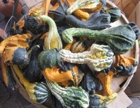 Spaghetti Squash Noodles Three Ways