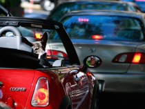 Report: State Lacks Needed Funding for Road Improvements