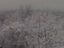 First Coating of Snow Falls in Connecticut