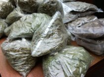 Holy Smokes! Cops Bust 2 With 44 Pounds of Pot