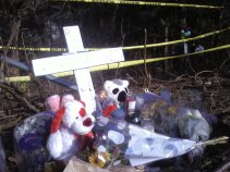 Three Killed in 2 Shelton Crashes