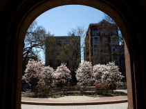 Yale Blacklisted By Iran
