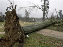 Fairfield: Call In and Report Storm Damage