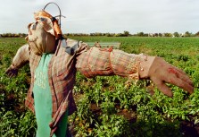 9/28: From Scarecrows to Breaking the Fast