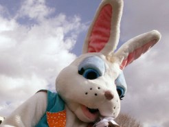 'Easter Bandits' Hop Away with $2,000 Worth of Car Parts