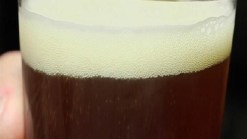 Invest in a New Brewery