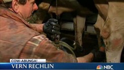 Ryan Milks a Cow