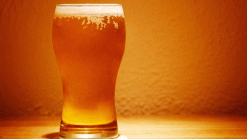 Brewfest in Meriden on Friday