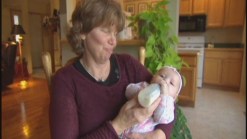 Sugar Missing from Baby Formula Labels