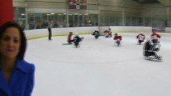 Sled Hockey in Connecticut