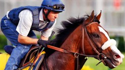 Your Guide to the Kentucky Derby