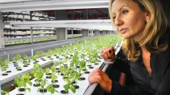Indoor Mega Farms