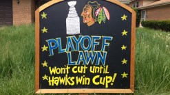 City Mows Hockey Fan's