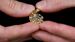 Python Hunter's Mysterious Find
