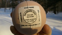 Sandballz in Storrs Needs You