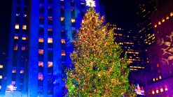 New York Rocks Famous Christmas Tree