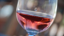 Wine & Brew Making in Southington