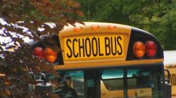 School Bus Monitor Assaulted Student: Cops