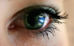 Happy Medium: Why the Web is Good for Television