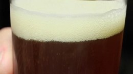 Invest in a New Brewery 