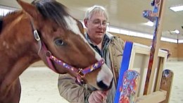 Thoroughbred Race Horse Retires, Takes Up Painting