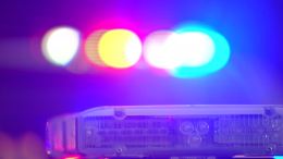Toddler Found In Stolen Car