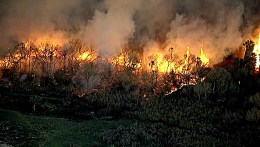 Crews Gain Ground on Jurupa Wildfire