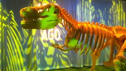 1st Look Loves: The Art of The Brick