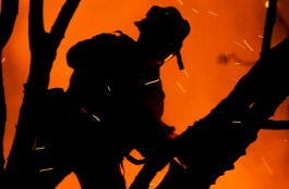 Documents: Arson Suspect Says He Killed Mom  