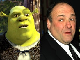 Long-Lost Celebrity Twins