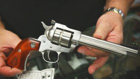  Lawmaker Proposes Publicizing Gun Owners' Names 