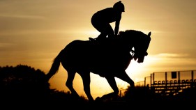 At Preakness, Orb Aims for Shot at History