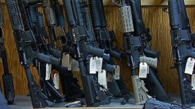 Gun Rights Groups Sue Gov. Malloy