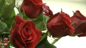 Mother's Day Don'ts