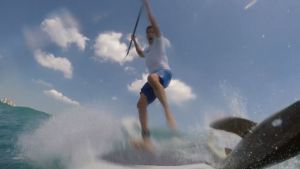 Paddleboarder Has Scary Encounter with Shark